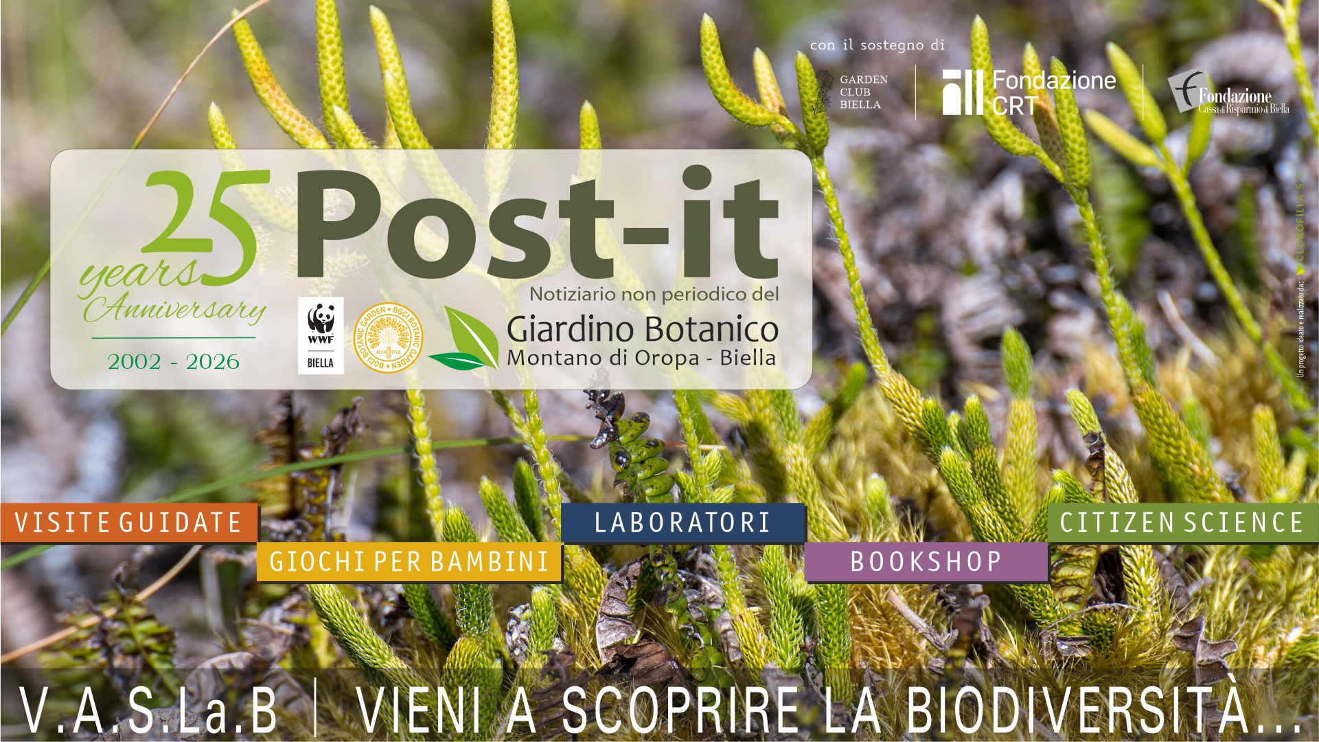 Post-it: la Newsletter