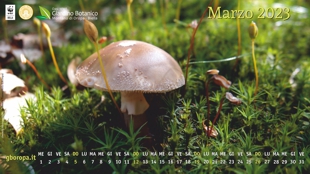 il Desktop di marzo