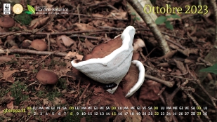 Desktop di ottobre