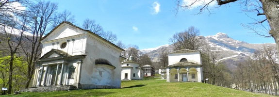 Vieni a scoprire la biodiversità...