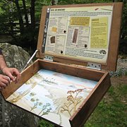 Pannello sulla vascolarizzazione