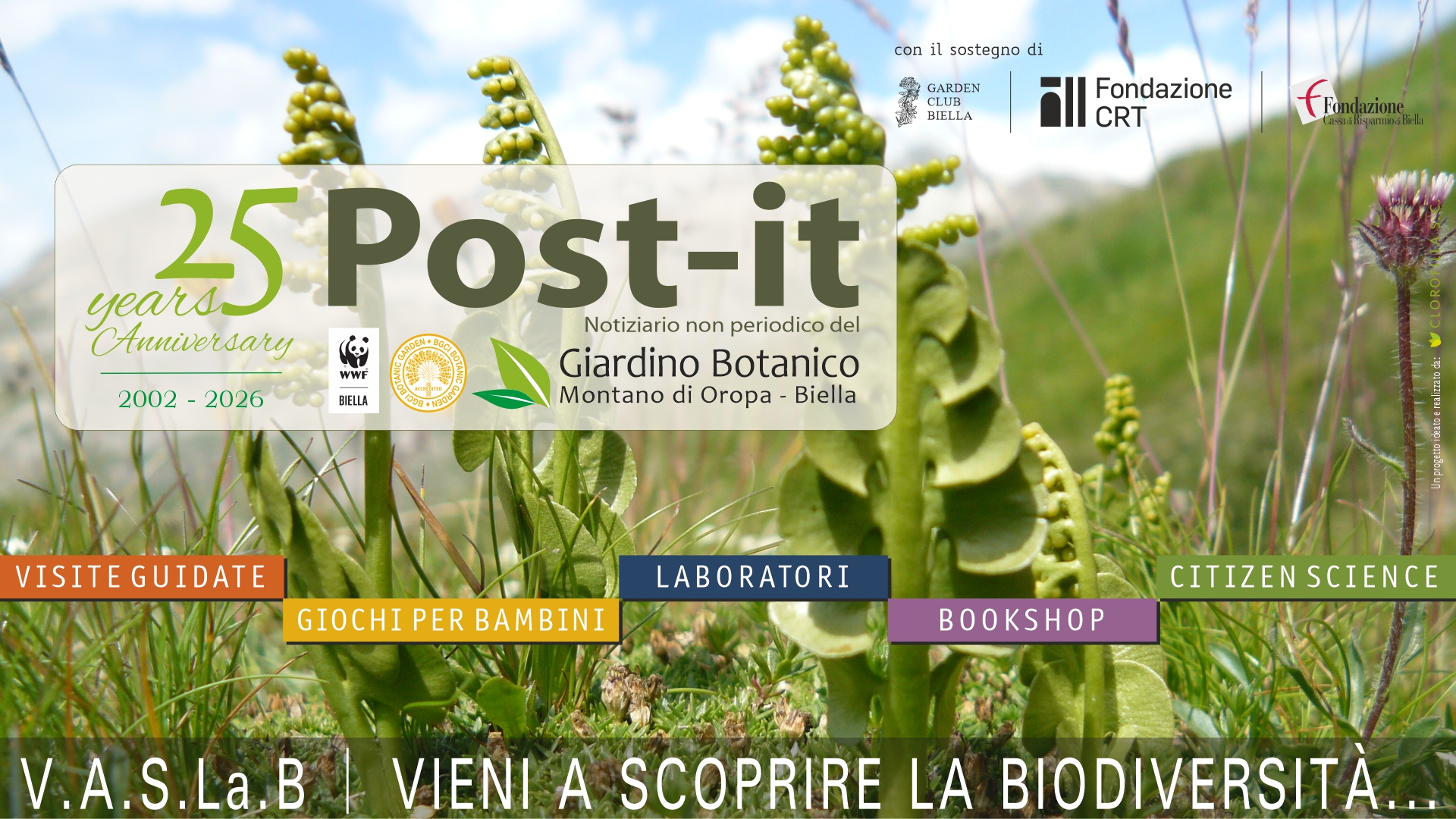 Post-it: la Newsletter