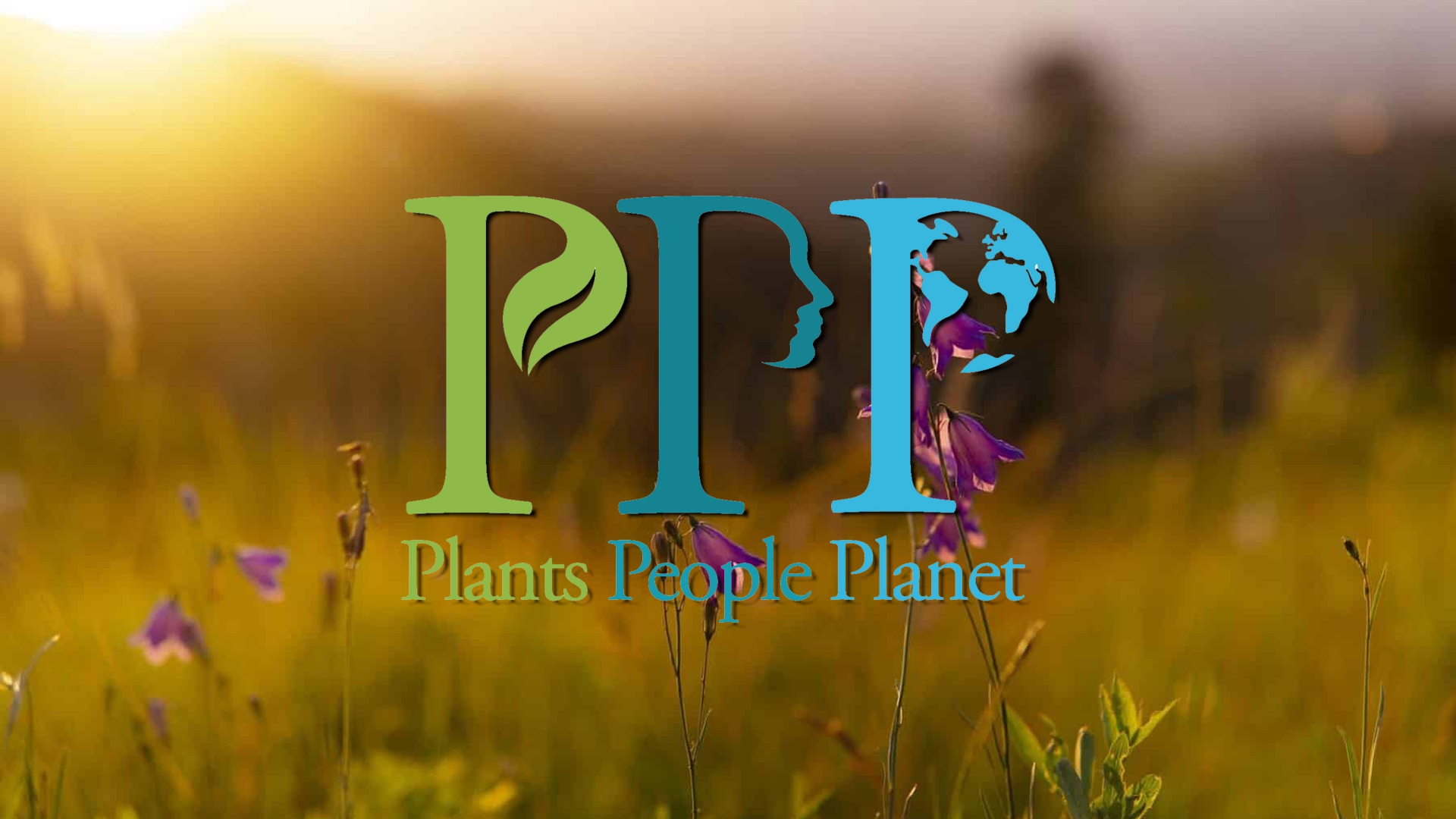 La mappa dei Giardini Botanici Alpini